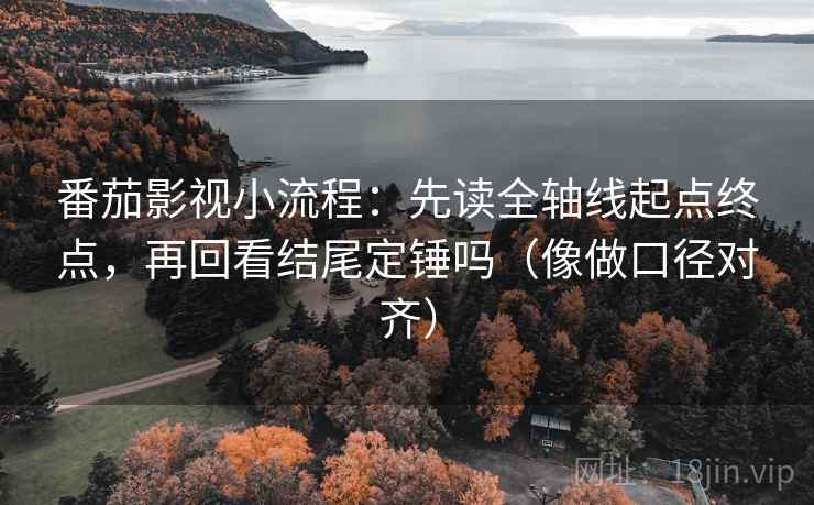 番茄影视小流程：先读全轴线起点终点，再回看结尾定锤吗（像做口径对齐）